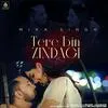  Tere Bin Zindagi - Mika Singh Poster
