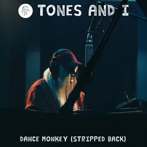 Dance Monkey Song Poster