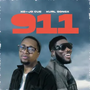  911 Song Poster