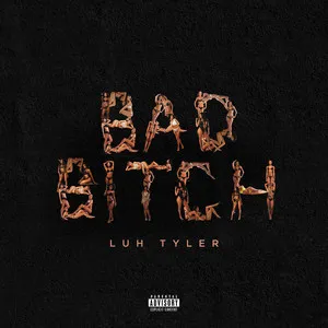  Bad Bitch Song Poster